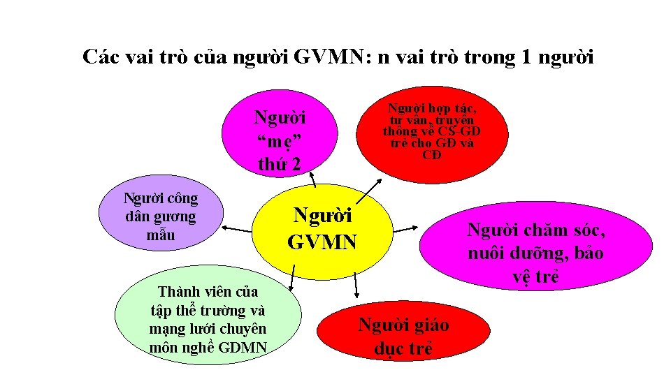 Các vai trò của người GVMN: n vai trò trong 1 người Người hợp