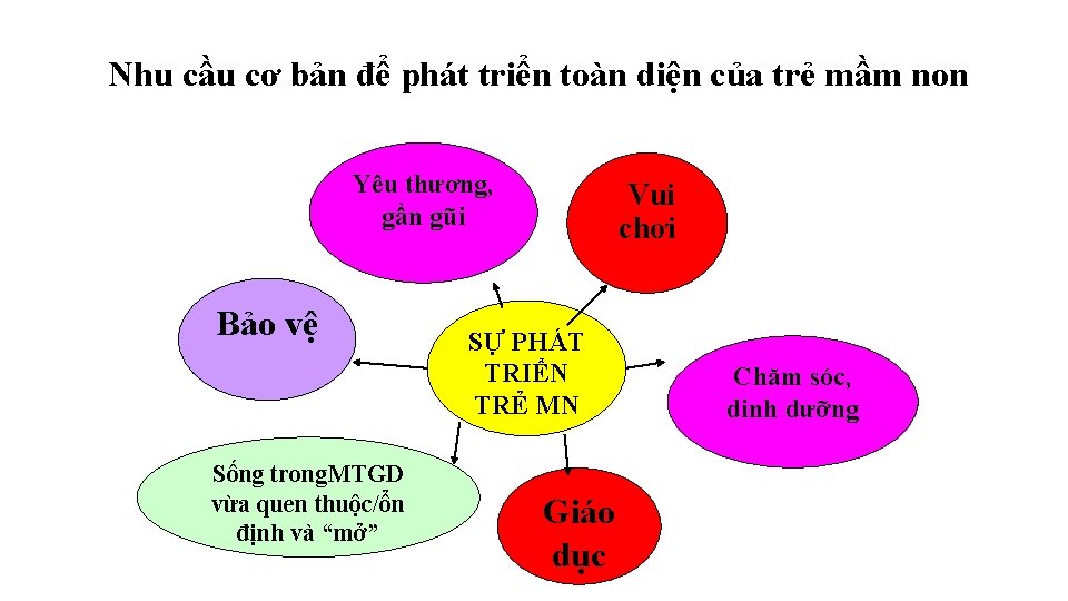 Nhu cầu cơ bản để phát triển toàn diện của trẻ mầm non Yêu