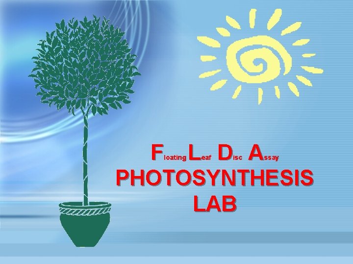 F L D A PHOTOSYNTHESIS LAB loating eaf isc ssay 