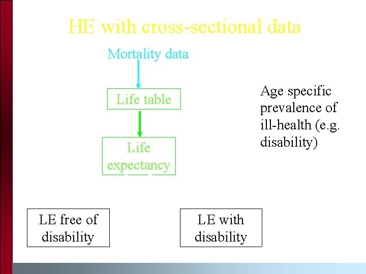 HE with cross-sectional data Mortality data Age specific prevalence of ill-health (e. g. disability)