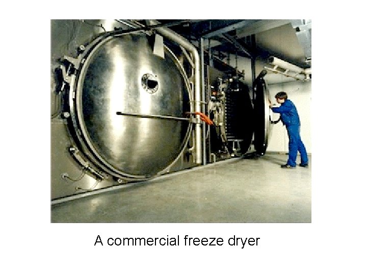 A commercial freeze dryer 