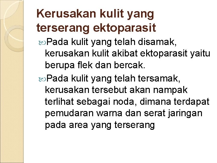 Kerusakan kulit yang terserang ektoparasit Pada kulit yang telah disamak, kerusakan kulit akibat ektoparasit