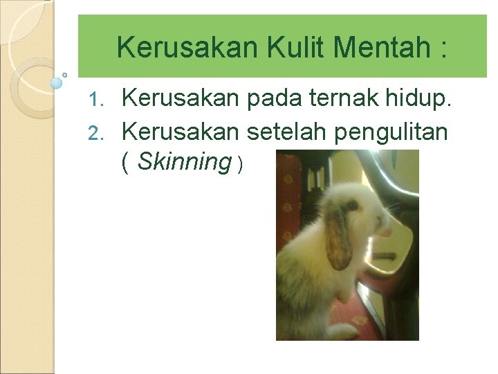 Kerusakan Kulit Mentah : Kerusakan pada ternak hidup. 2. Kerusakan setelah pengulitan ( Skinning