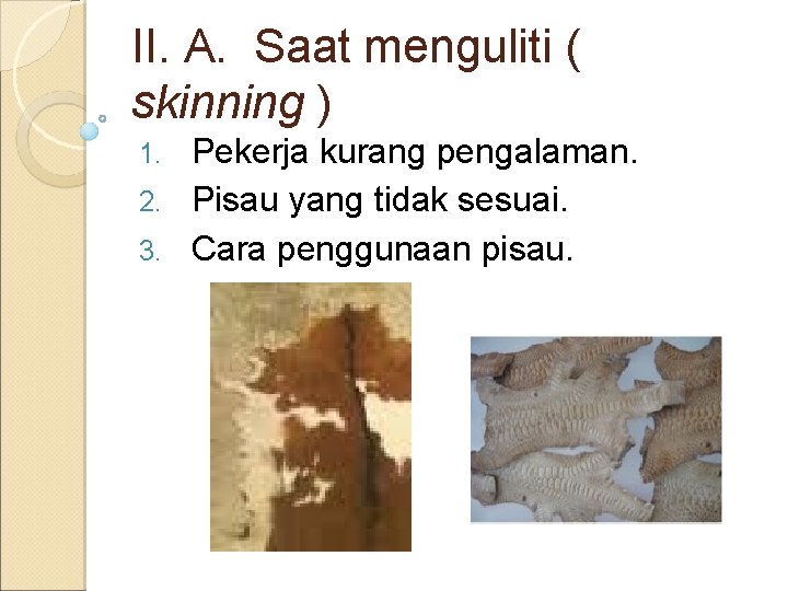 II. A. Saat menguliti ( skinning ) Pekerja kurang pengalaman. 2. Pisau yang tidak
