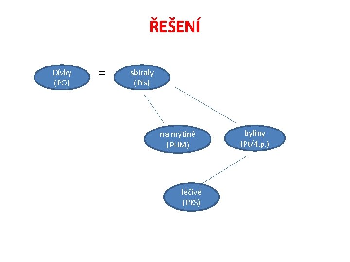 ŘEŠENÍ Dívky (PO) = sbíraly (Přs) na mýtině (PUM) léčivé (PKS) byliny (Pt/4. p.