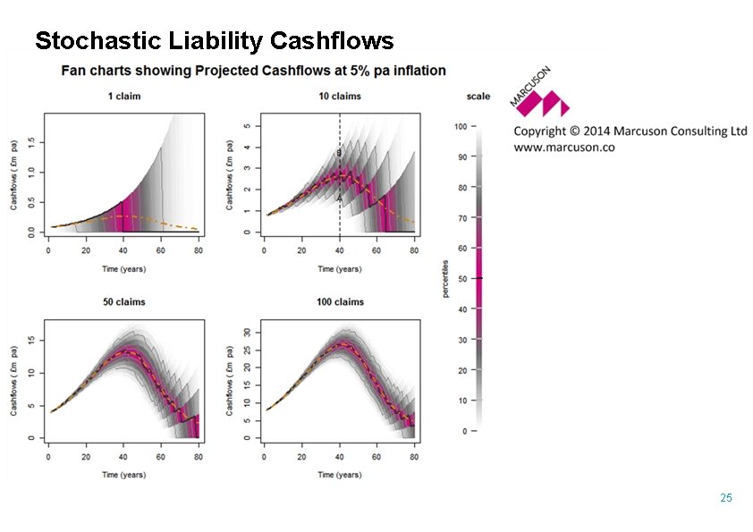 Stochastic Liability Cashflows 25 