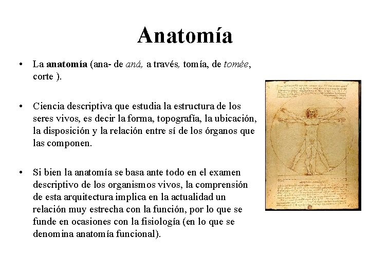 Anatomía • La anatomía (ana- de aná, a través, tomía, de tomée, corte ).