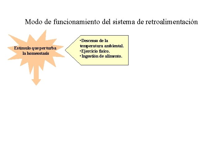 Modo de funcionamiento del sistema de retroalimentación Estímulo que perturba la homeostasis • Descenso