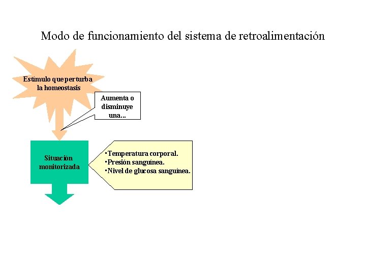 Modo de funcionamiento del sistema de retroalimentación Estímulo que perturba la homeostasis Aumenta o