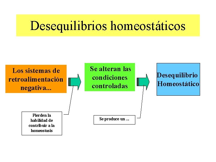 Desequilibrios homeostáticos Los sistemas de retroalimentación negativa. . . Pierden la habilidad de contribuir