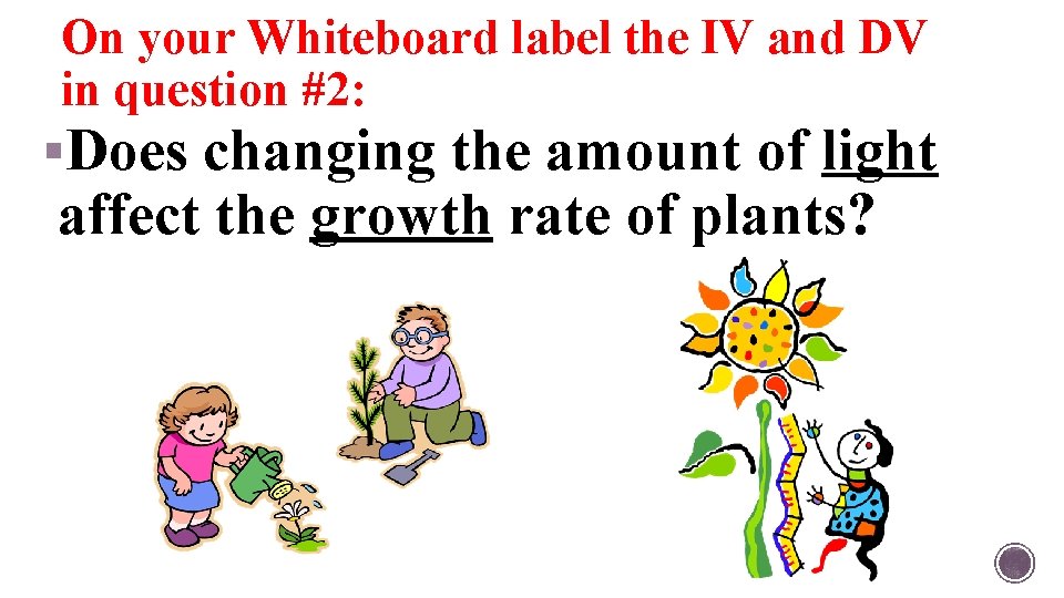 On your Whiteboard label the IV and DV in question #2: §Does changing the