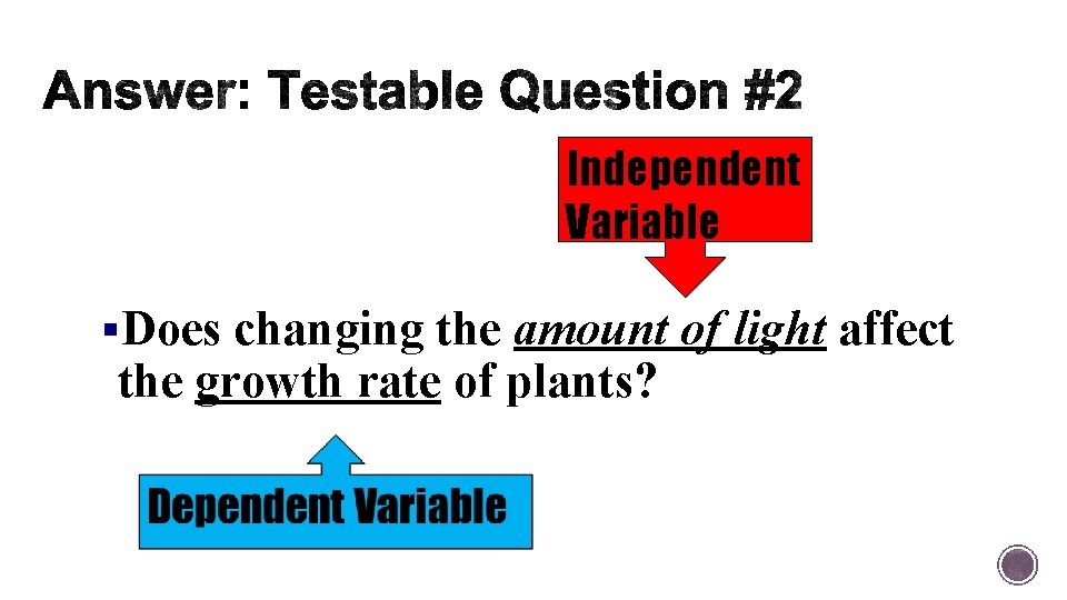Independent Variable §Does changing the amount of light affect the growth rate of plants?