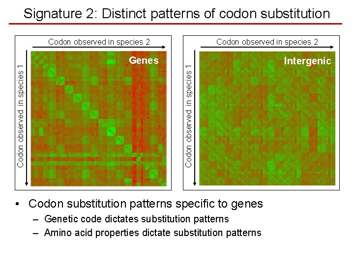 Signature 2: Distinct patterns of codon substitution Genes Codon observed in species 2 Codon