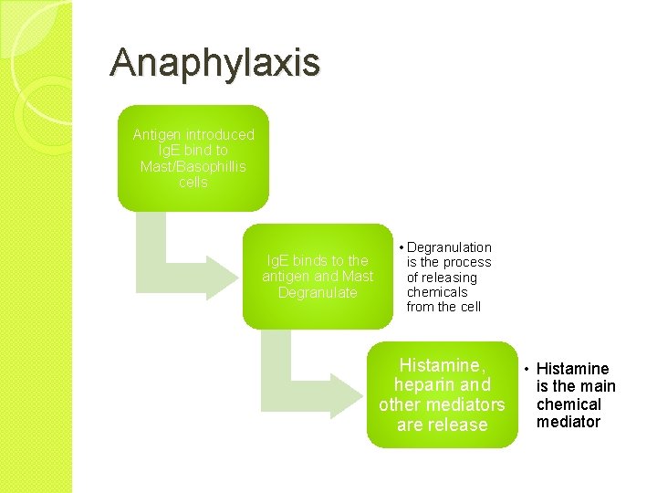 Anaphylaxis Antigen introduced Ig. E bind to Mast/Basophillis cells Ig. E binds to the
