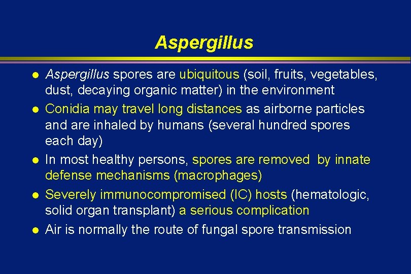 Aspergillus l l l Aspergillus spores are ubiquitous (soil, fruits, vegetables, dust, decaying organic