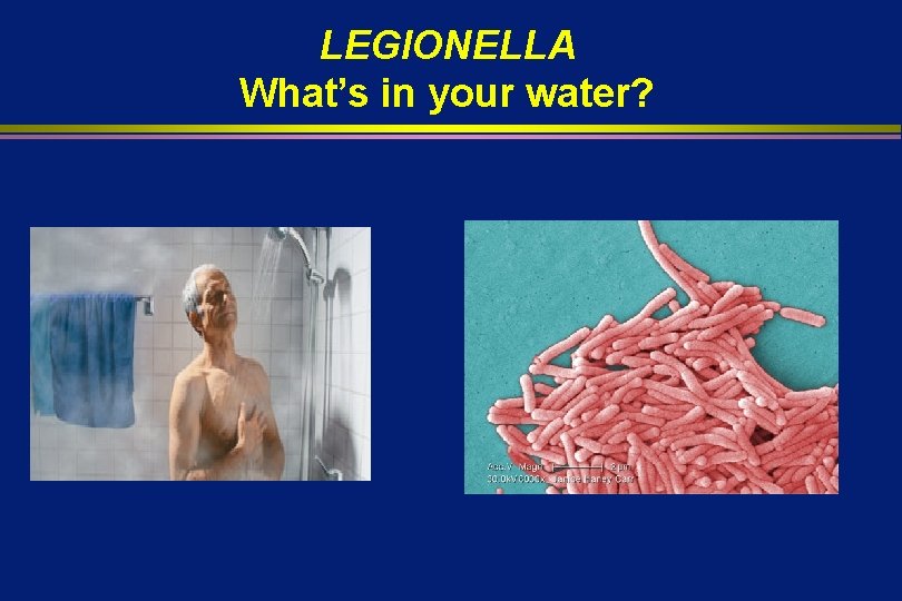 LEGIONELLA What’s in your water? 