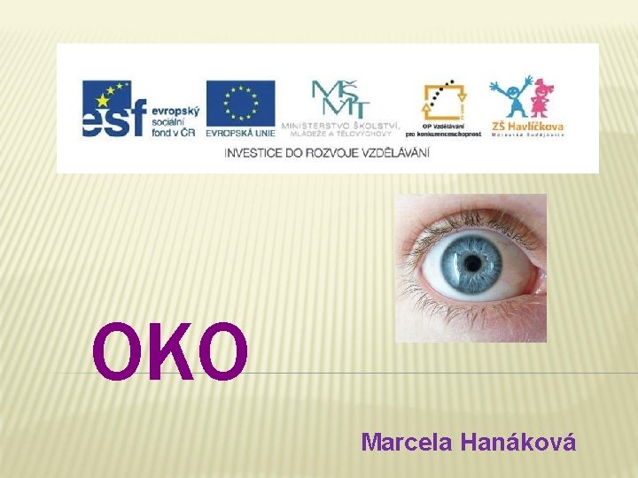 OKO Marcela Hanáková 