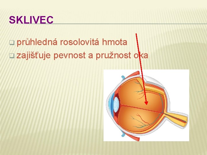 SKLIVEC q průhledná rosolovitá hmota q zajišťuje pevnost a pružnost oka 