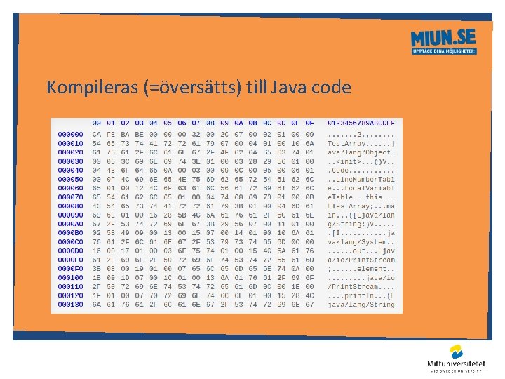 Kompileras (=översätts) till Java code 