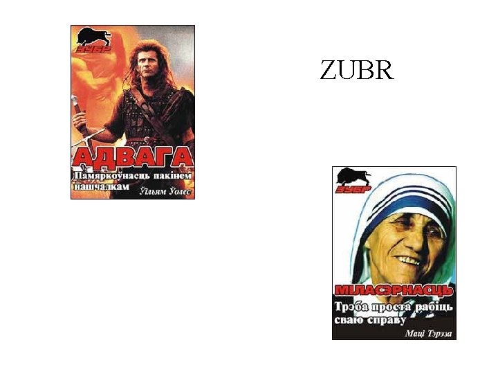 ZUBR 