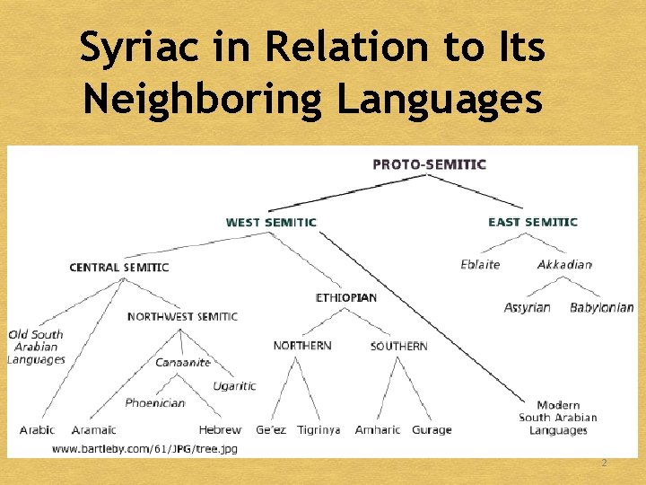 Syriac in Relation to Its Neighboring Languages 2 