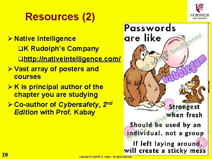 Resources (2) Ø Native Intelligence q. K Rudolph’s Company qhttp: //nativeintelligence. com/ Ø Vast