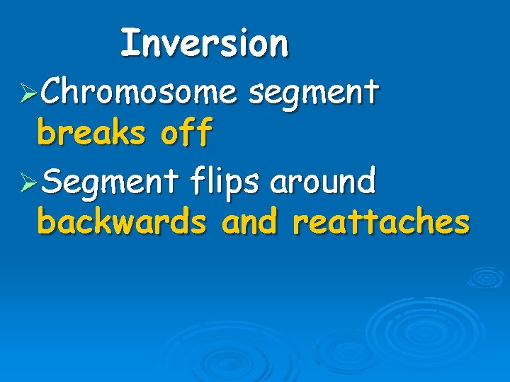 Inversion ØChromosome segment breaks off ØSegment flips around backwards and reattaches 