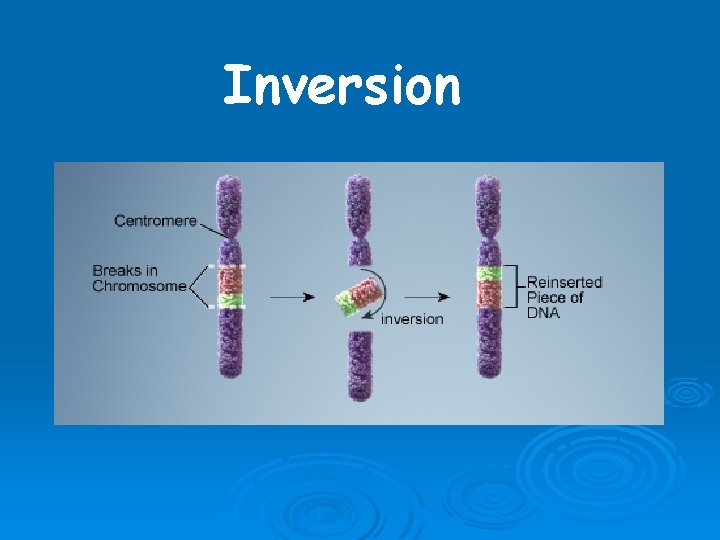 Inversion 
