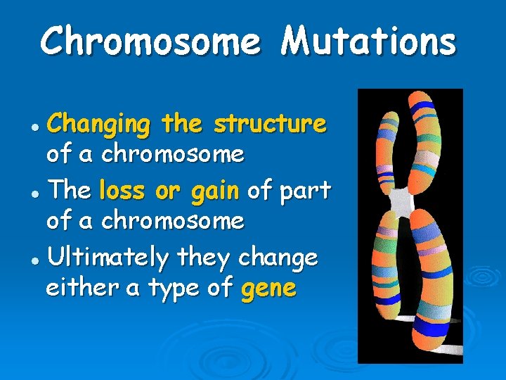 Chromosome Mutations Changing the structure of a chromosome l The loss or gain of