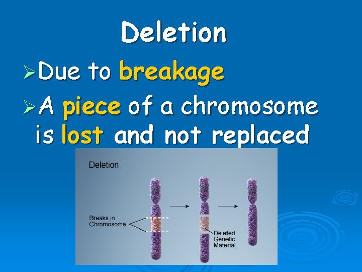 Deletion ØDue to breakage ØA piece of a chromosome is lost and not replaced