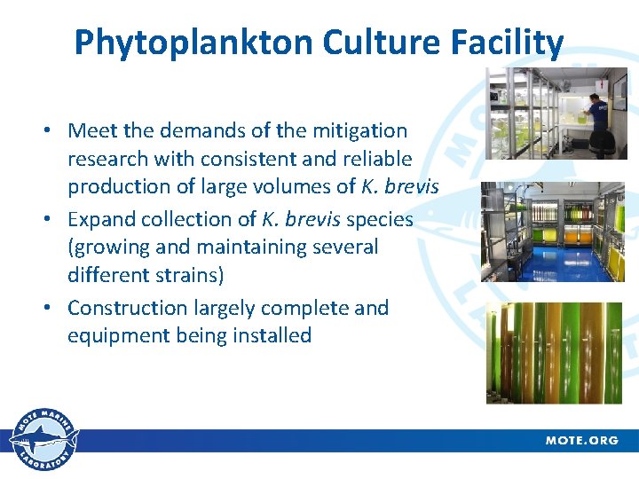 Phytoplankton Culture Facility • Meet the demands of the mitigation research with consistent and