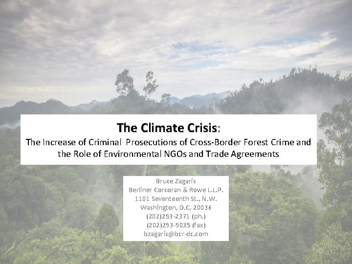 The Climate Crisis: The Increase of Criminal Prosecutions of Cross-Border Forest Crime and the