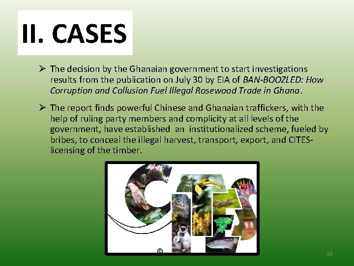 II. CASES Ø The decision by the Ghanaian government to start investigations results from