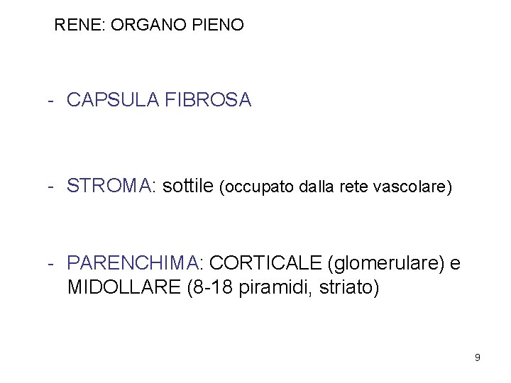 RENE: ORGANO PIENO - CAPSULA FIBROSA - STROMA: sottile (occupato dalla rete vascolare) -