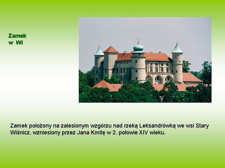 Zamek w Wi Zamek położony na zalesionym wzgórzu nad rzeką Leksandrówką we wsi Stary