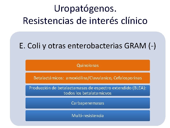 Uropatógenos. Resistencias de interés clínico E. Coli y otras enterobacterias GRAM (-) Quinolonas Betalactámicos: