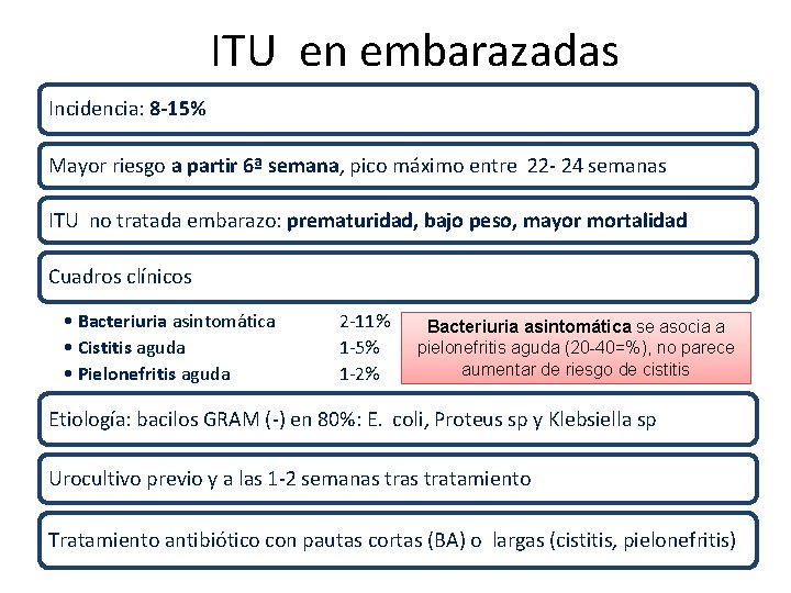 ITU en embarazadas Incidencia: 8 -15% Mayor riesgo a partir 6ª semana, pico máximo