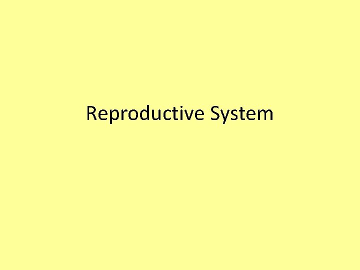 Reproductive System 