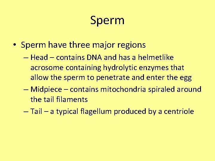 Sperm • Sperm have three major regions – Head – contains DNA and has