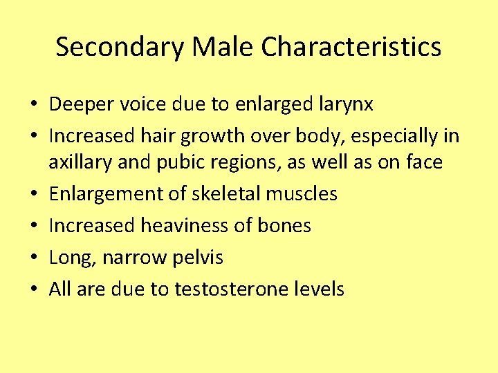 Secondary Male Characteristics • Deeper voice due to enlarged larynx • Increased hair growth