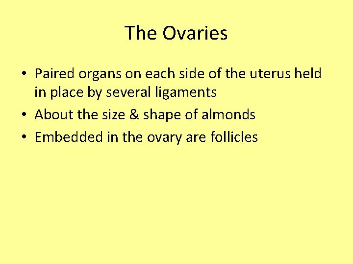 The Ovaries • Paired organs on each side of the uterus held in place