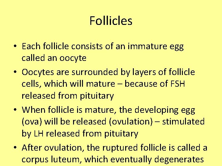 Follicles • Each follicle consists of an immature egg called an oocyte • Oocytes