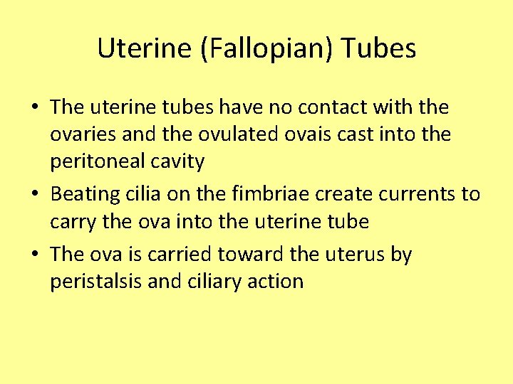 Uterine (Fallopian) Tubes • The uterine tubes have no contact with the ovaries and