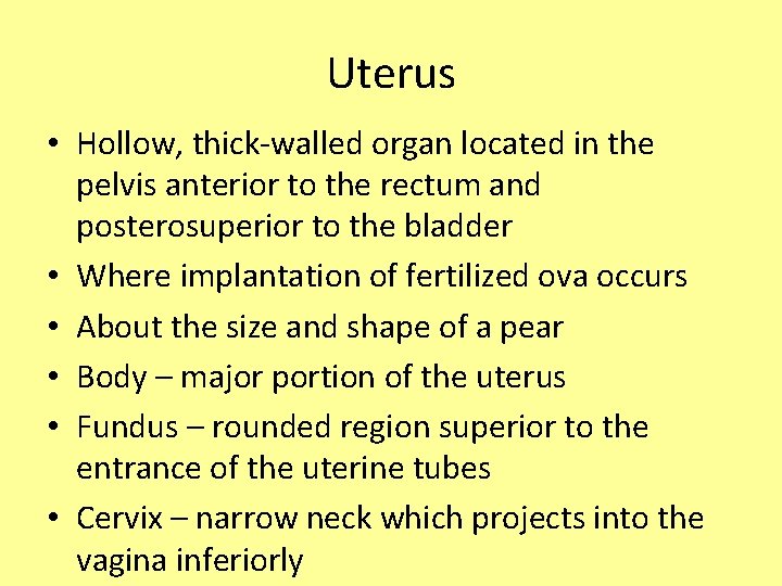 Uterus • Hollow, thick-walled organ located in the pelvis anterior to the rectum and