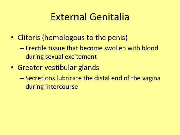 External Genitalia • Clitoris (homologous to the penis) – Erectile tissue that become swollen