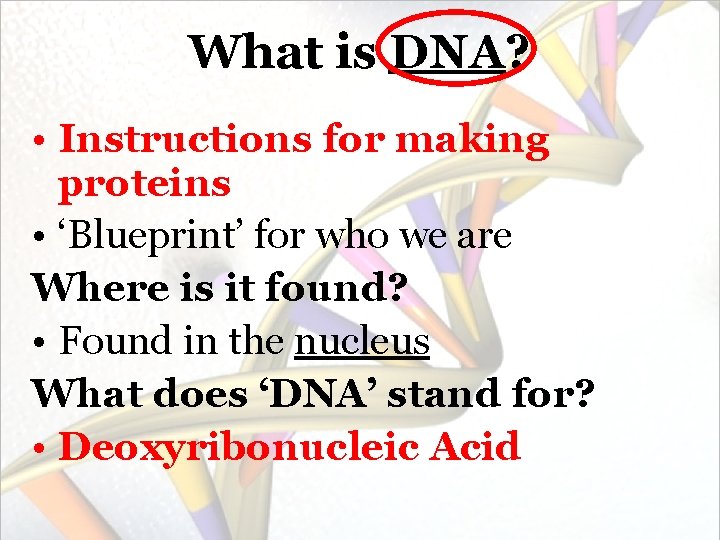 What is DNA? • Instructions for making proteins • ‘Blueprint’ for who we are