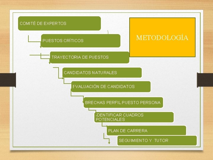 COMITÉ DE EXPERTOS METODOLOGÍA PUESTOS CRÍTICOS TRAYECTORIA DE PUESTOS CANDIDATOS NATURALES EVALUACIÓN DE CANDIDATOS