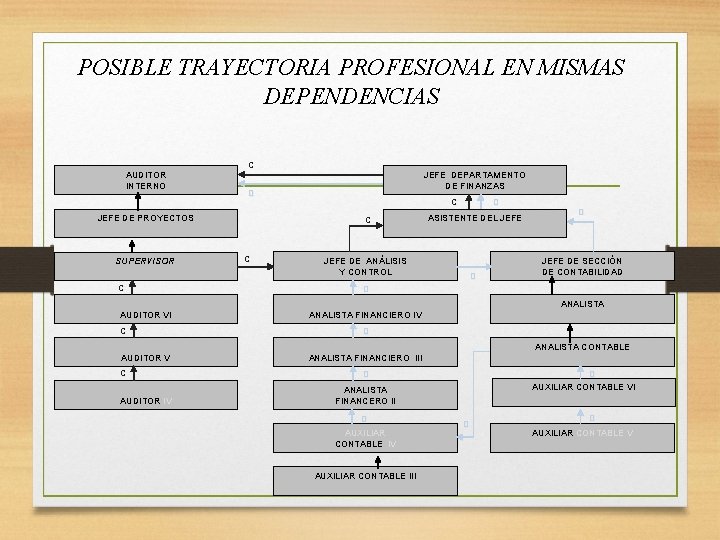 POSIBLE TRAYECTORIA PROFESIONAL EN MISMAS DEPENDENCIAS AUDITOR INTERNO C D JEFE DE PROYECTOS SUPERVISOR