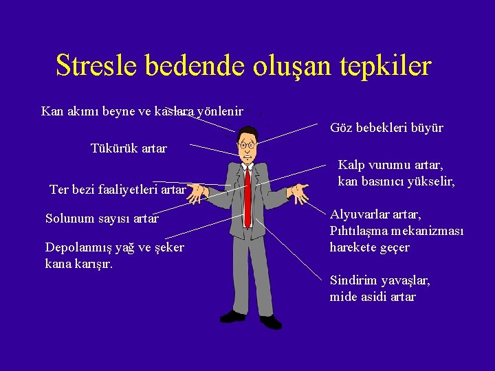 Stresle bedende oluşan tepkiler Kan akımı beyne ve kaslara yönlenir Göz bebekleri büyür Tükürük