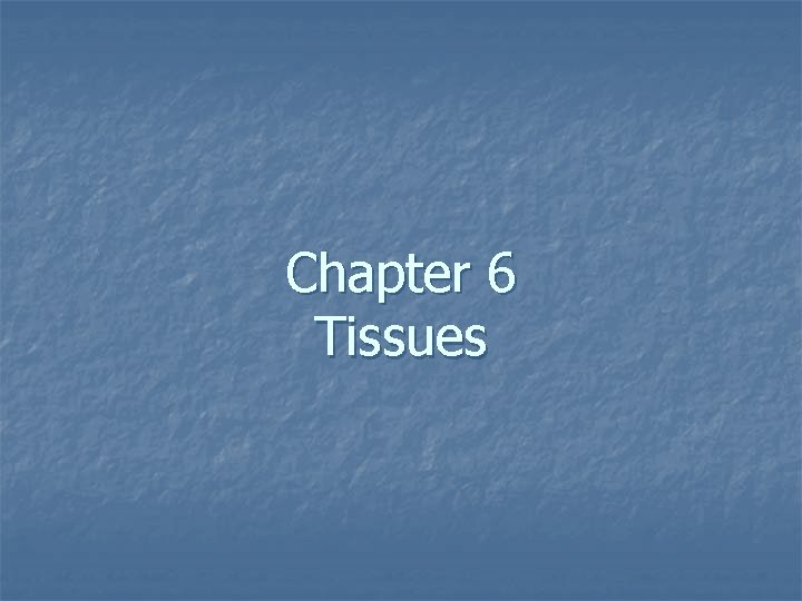 Chapter 6 Tissues 